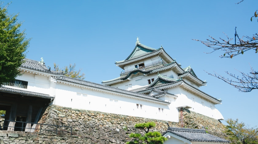 和歌山城のお写真